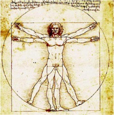 Vitruvmann, Leonardo da Vinci Vitruvmann, Leonardo da Vinci