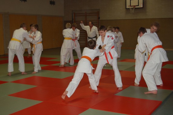 Aus dem Vereinsarchiv: judoag2.jpg